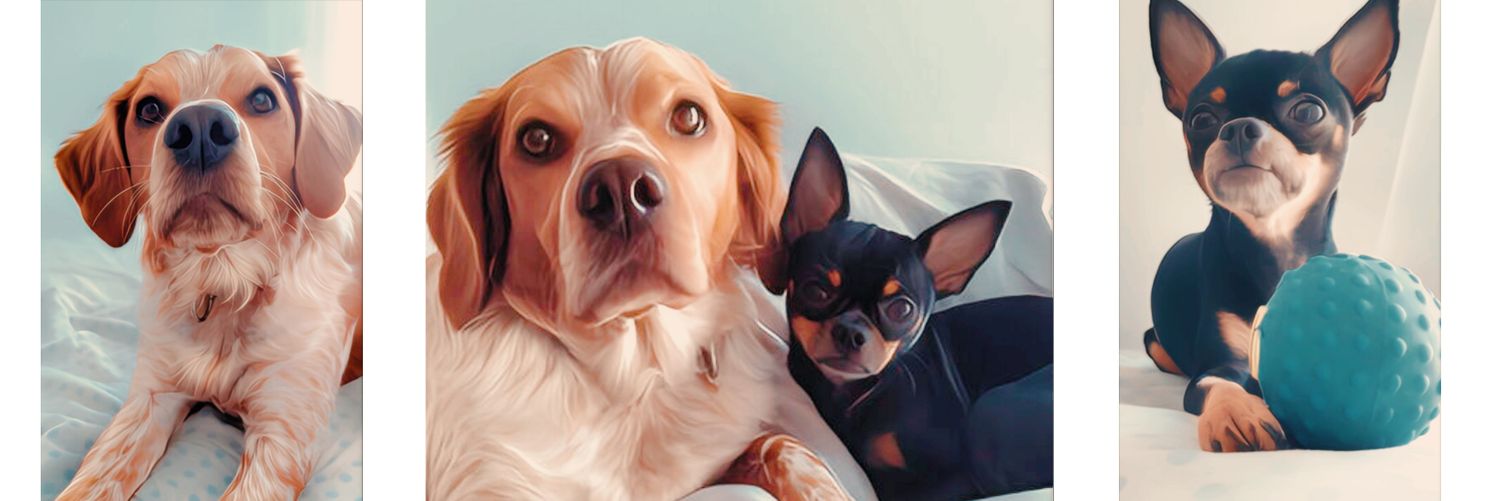 Ari banner