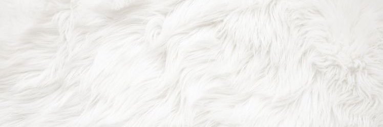 ali ᨒ | semi ia banner
