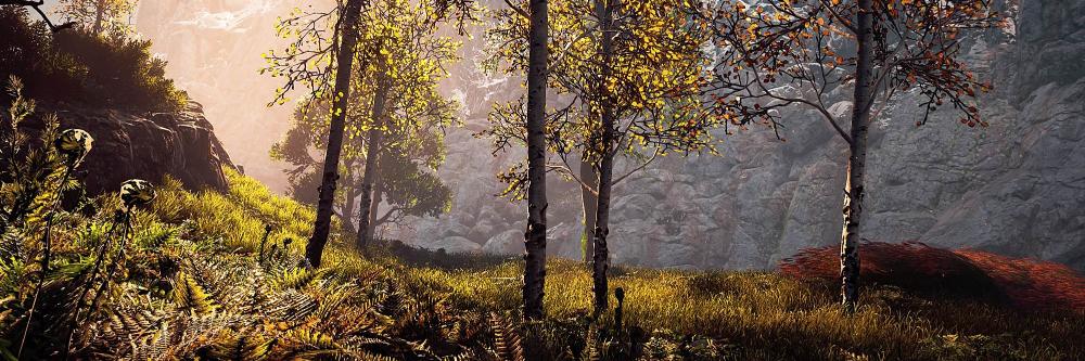 RobDwiar's profile banner image