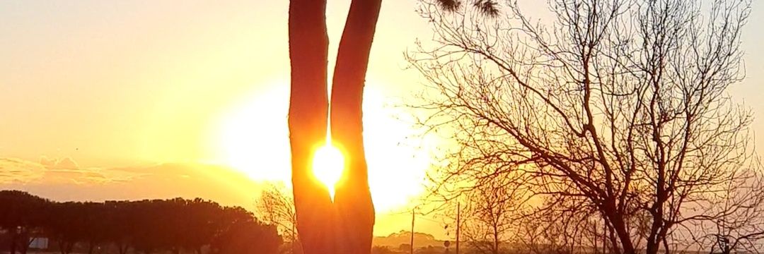 canau's profile banner image
