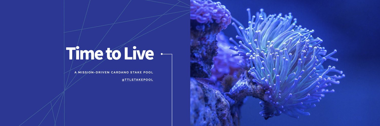Time To Live Stake Pool banner