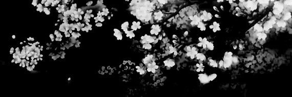maekillmyself's profile banner image