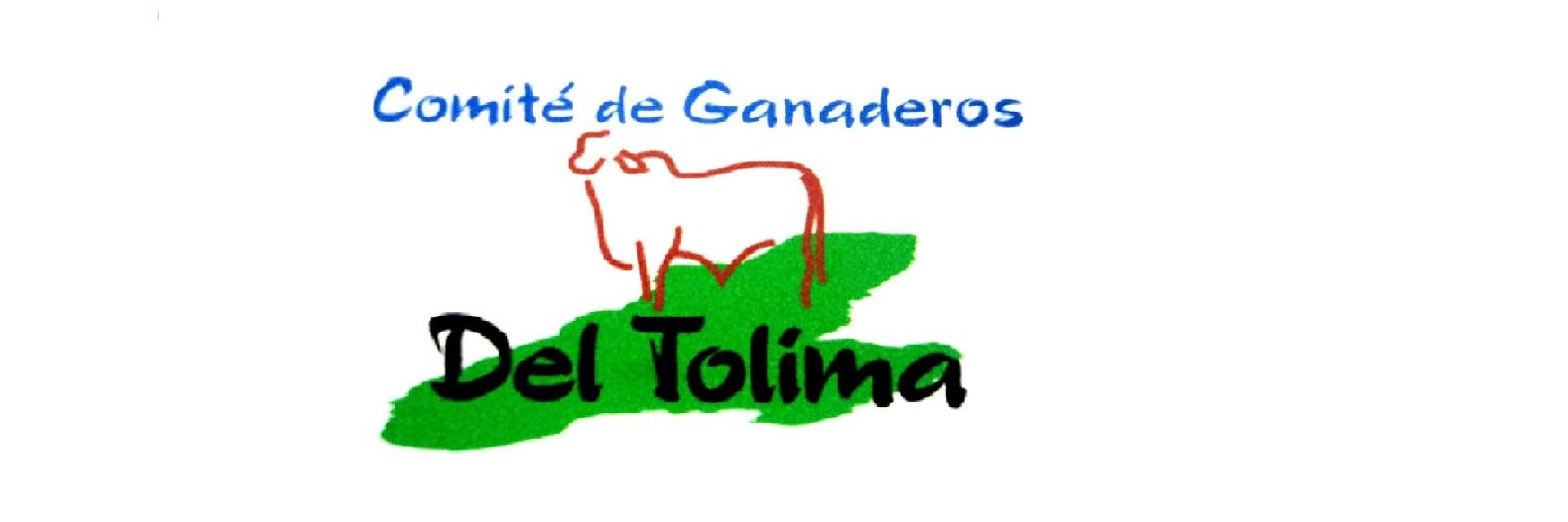 comiteganaderostolima banner