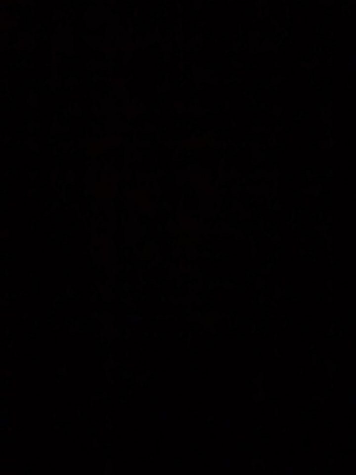 txopet's profile banner image