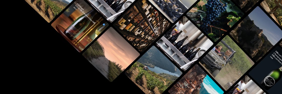 dVIN Labs (🍷, ⛓)'s banner