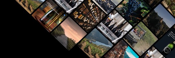 dVINLabs Profile Banner