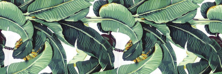 DorsettAlex's profile banner image