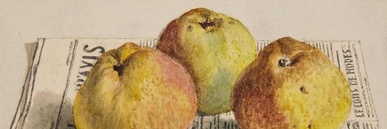 Daniel Fritzsche banner