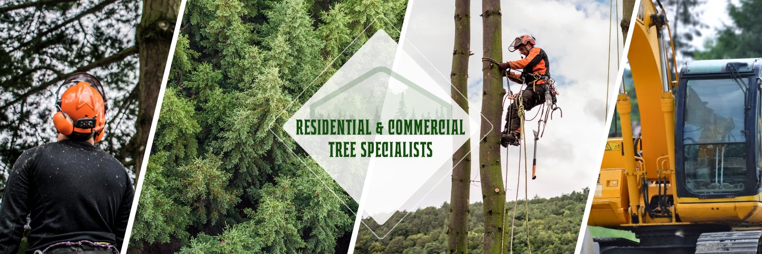 CommTreeServ's profile banner image