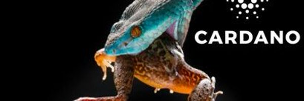 m0nk37f4rt Profile Banner