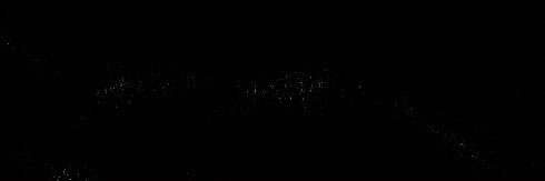 Wann banner