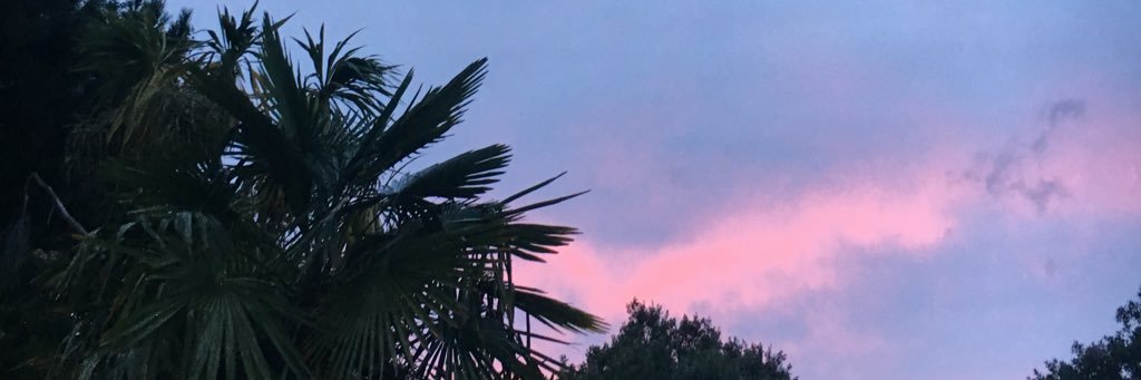IdkLisa_'s profile banner image
