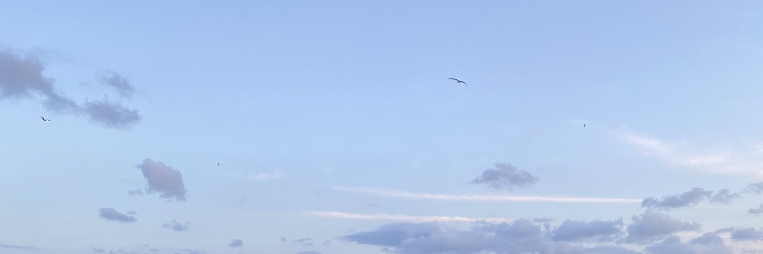 edayllllmzz's profile banner image