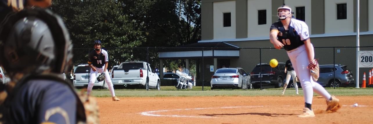 Paisley Rigsbee banner