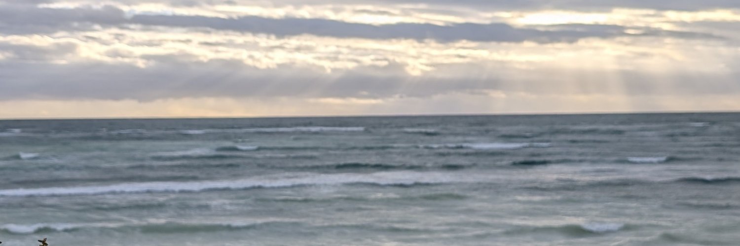 fradroucht's profile banner image