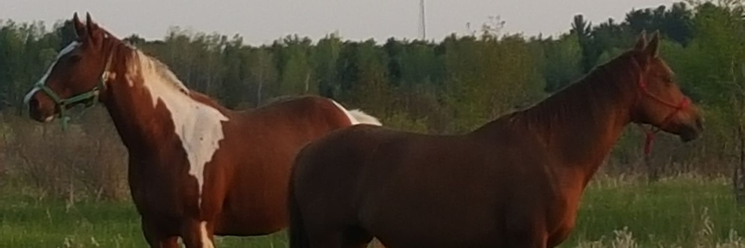 AutumnProuty's profile banner image
