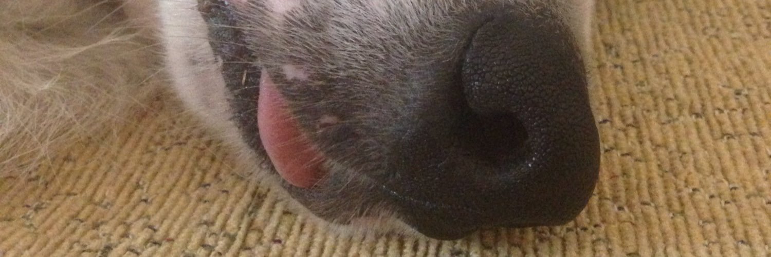 danyfono's profile banner image