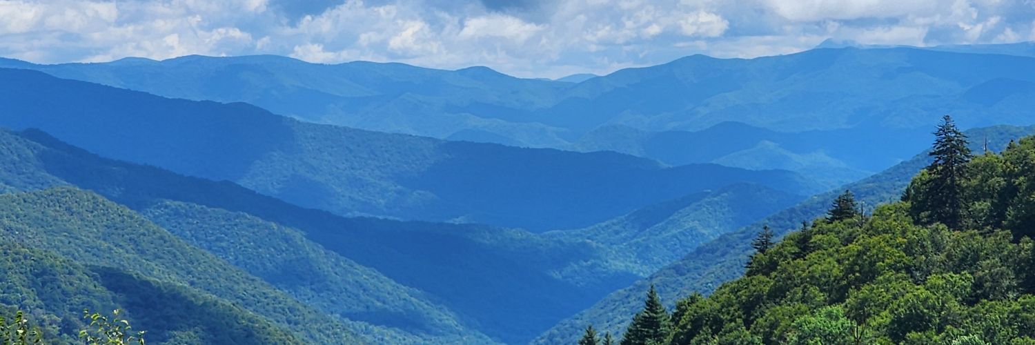 RealWomanVaGal's profile banner image
