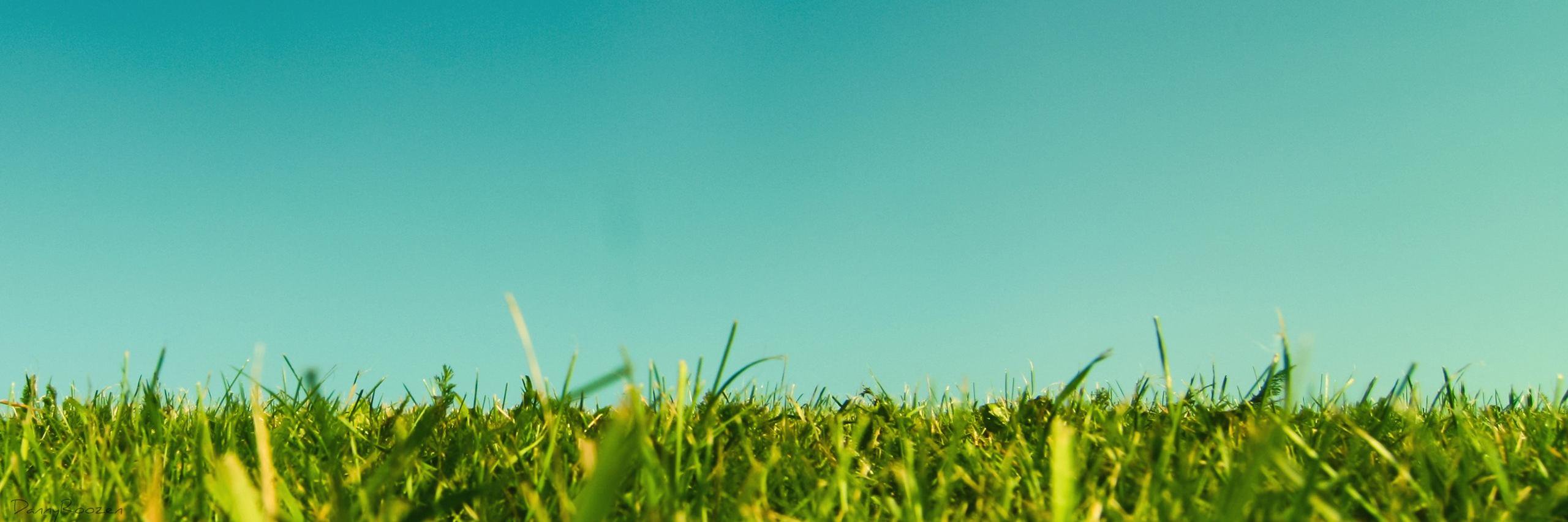 lovethygrowth's profile banner image