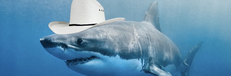 kellieanne145's profile banner image