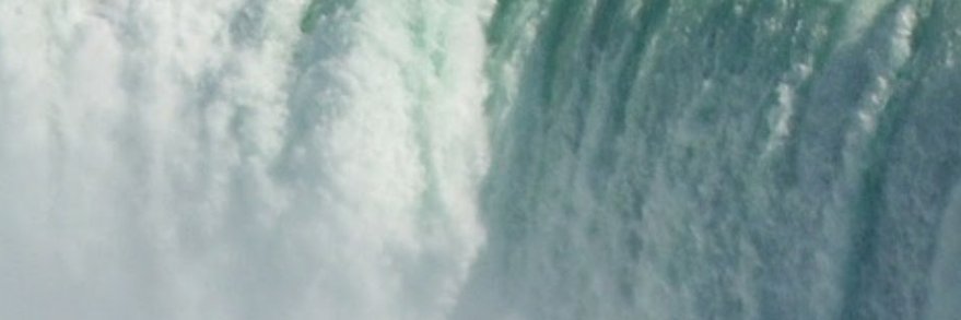 cheesuu banner