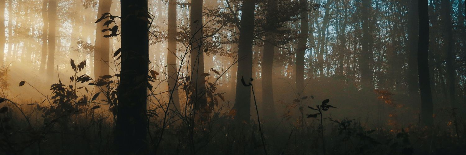 LAssassine's profile banner image