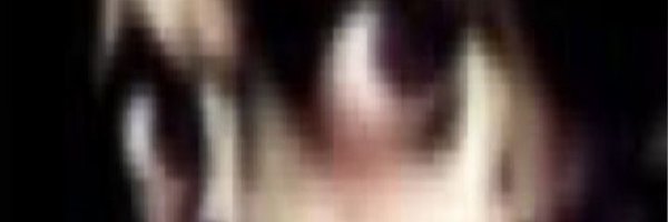 zingusfunnymeow Profile Banner