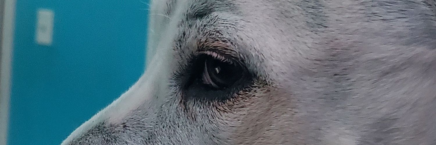 Weat banner