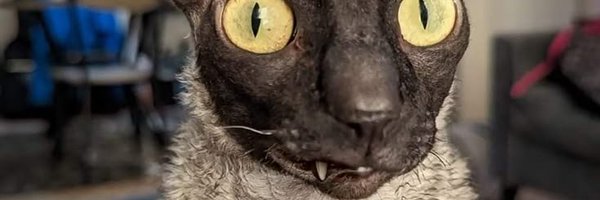 fvtixx_ Profile Banner