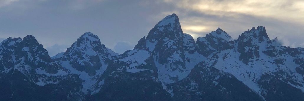 Mr. Narcissist banner