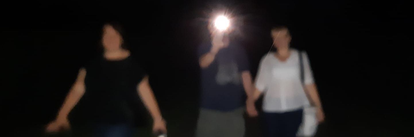 thew00d's profile banner image