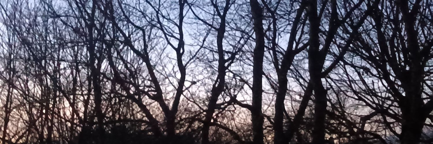 michaelmkennedy's profile banner image