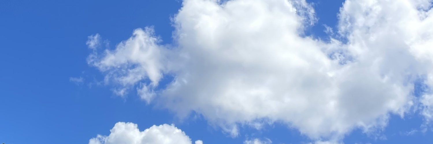 hamunomusume's profile banner image