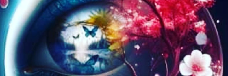 BosaniElena's profile banner image