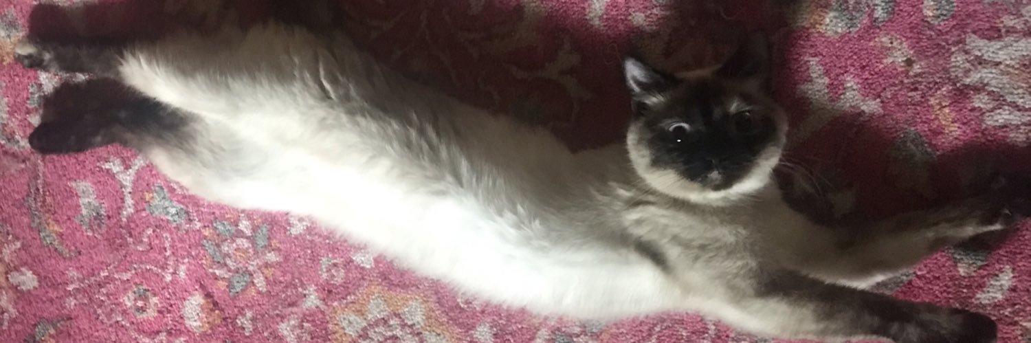 lilmfstace's profile banner image
