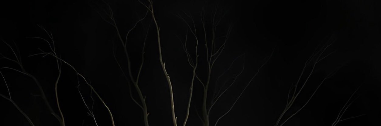 wourisd's profile banner image