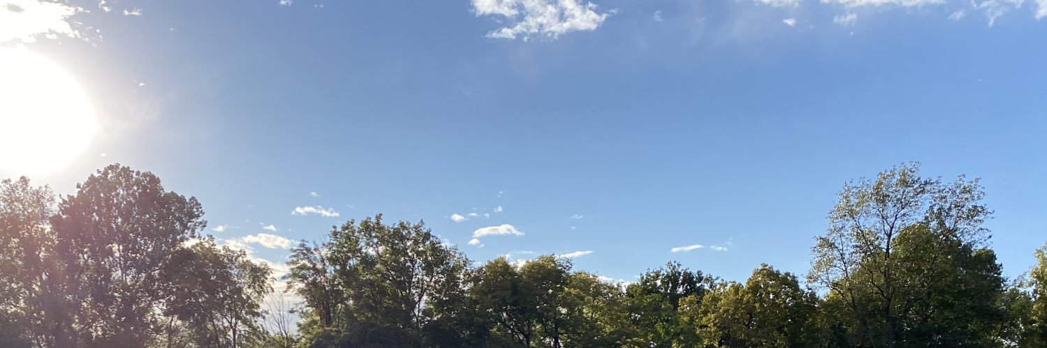 mr_davis's profile banner image