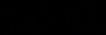 Rivera banner