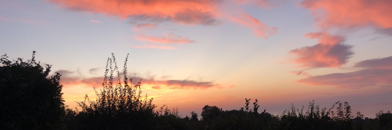 Eva Einshøj banner