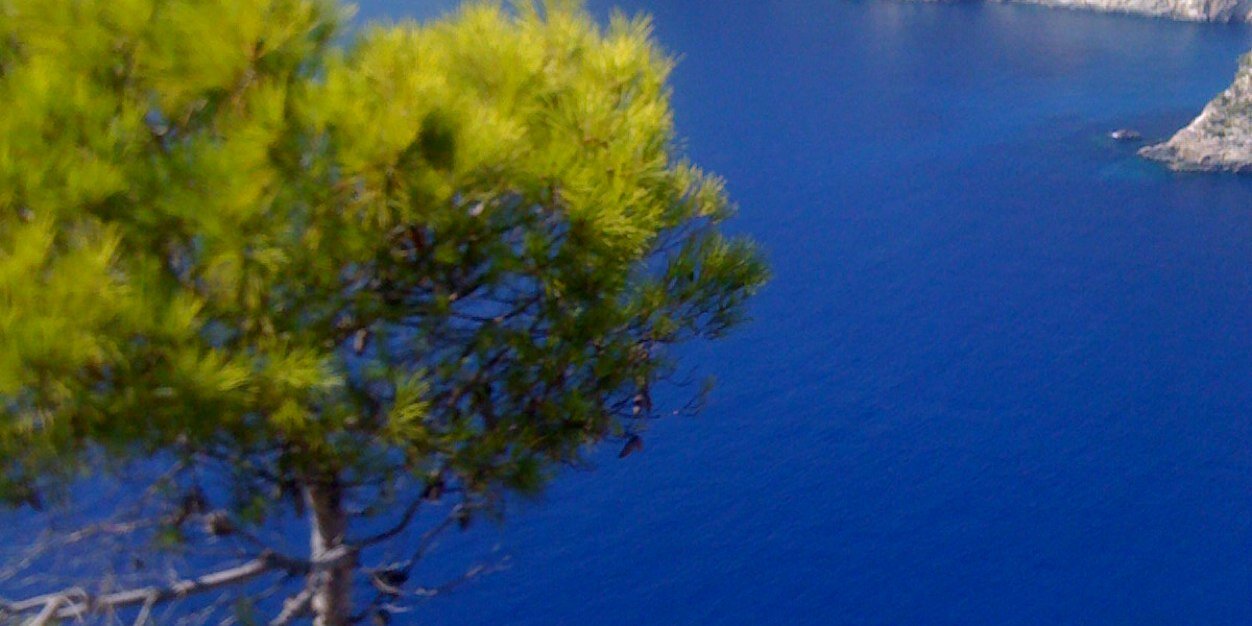 fedematteoli's profile banner image