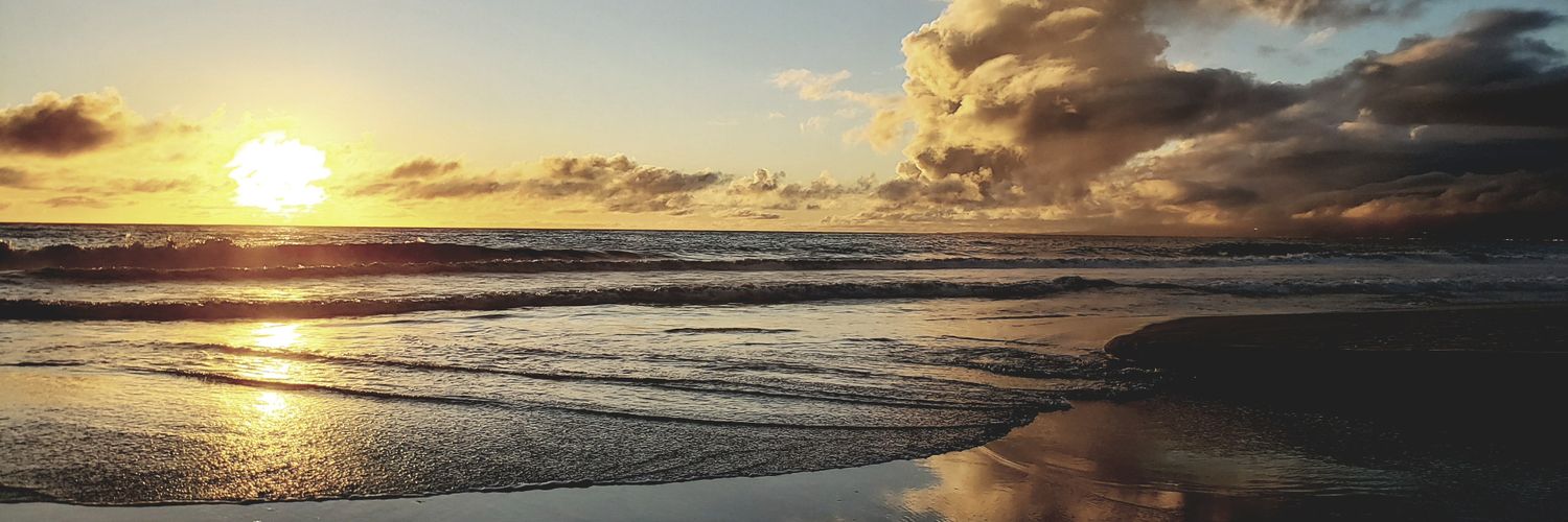 celesteind's profile banner image
