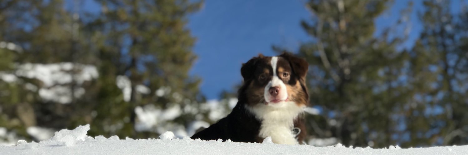 locododger's profile banner image