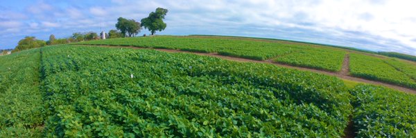 agro_ac Profile Banner