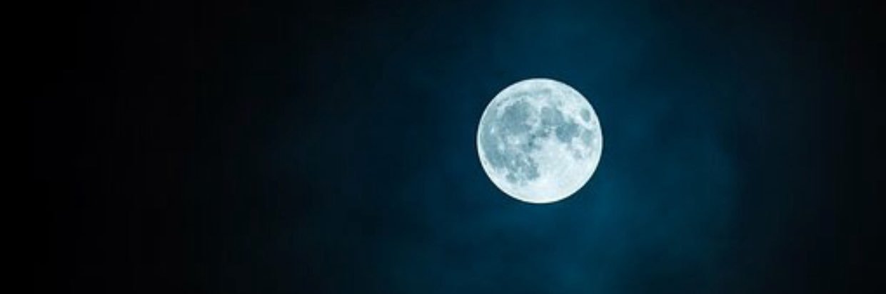 tnbooknerd's profile banner image