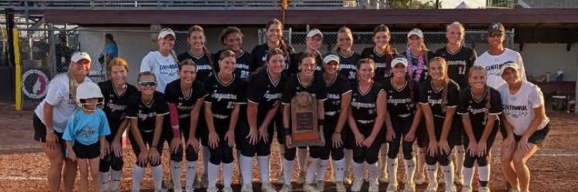 Ava Faber 2026 banner