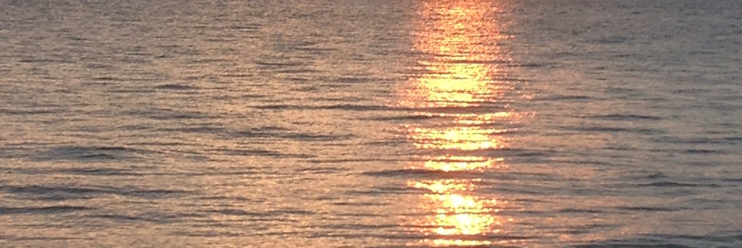 slmts1's profile banner image