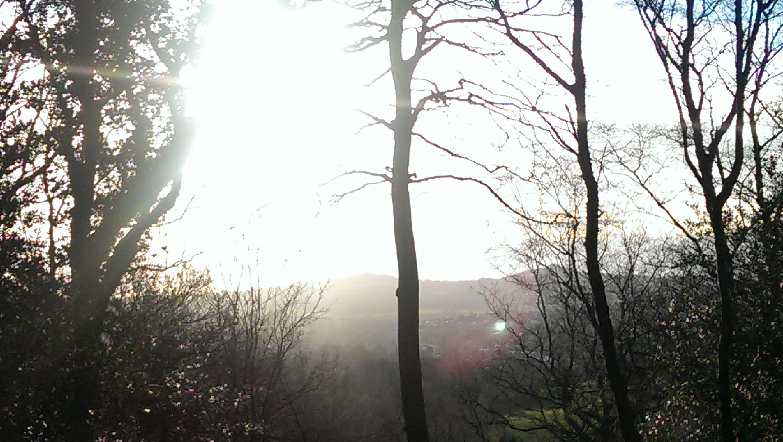 mharrisweb's profile banner image
