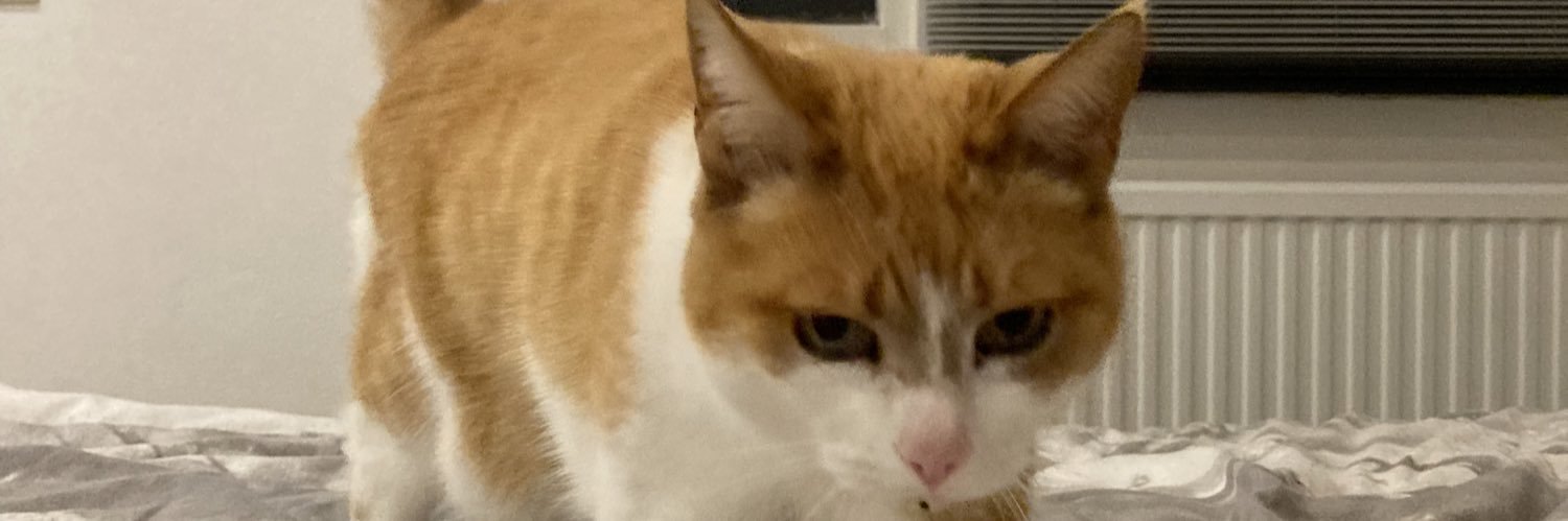 Frank #teambeweegbarebrug banner