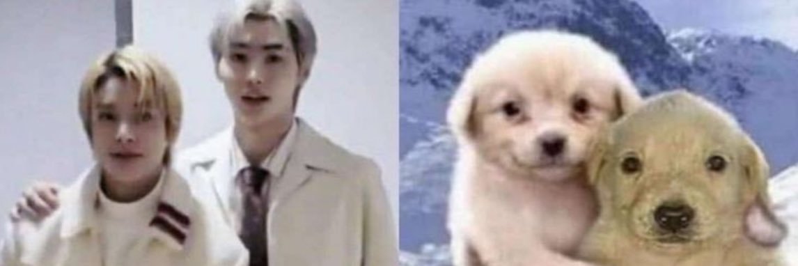 🍰 banner