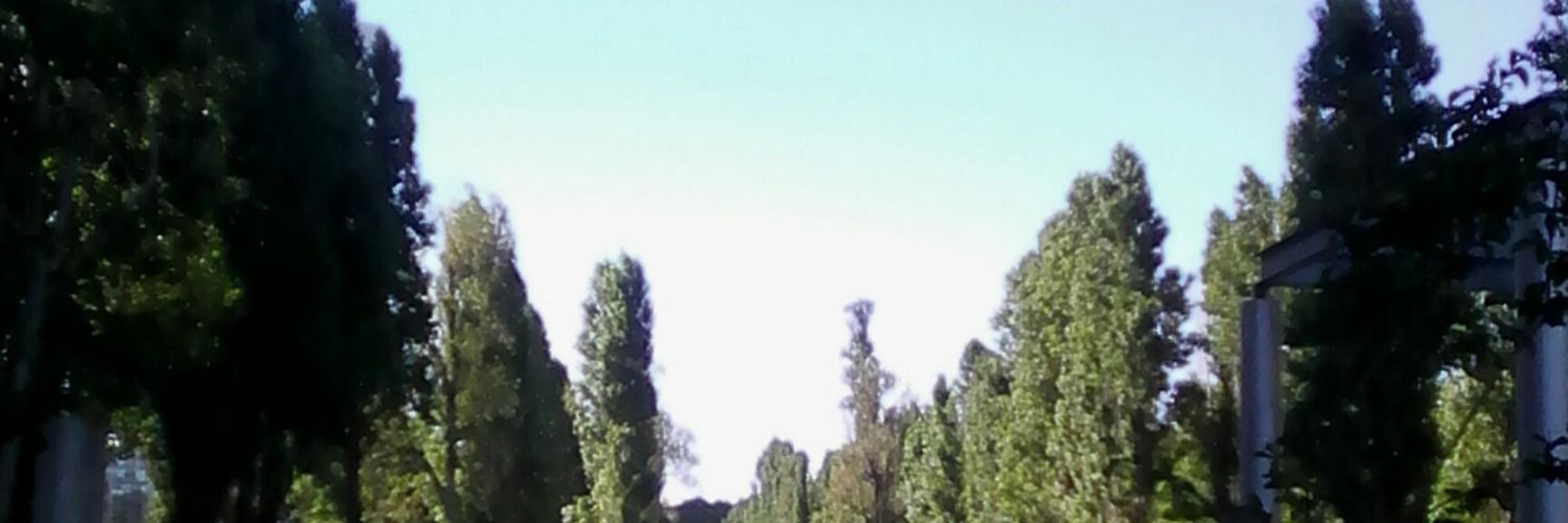 Rodriguez_Mac's profile banner image